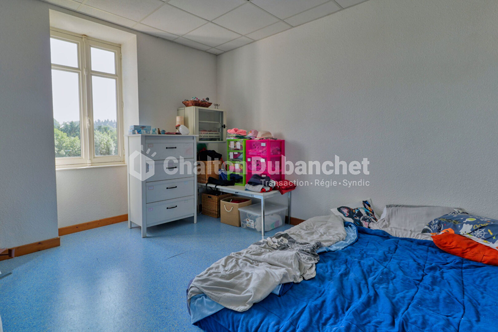 Photo Demeure Saint Vincent De Boisset 12 pièce(s) 500 m2 image 6/6