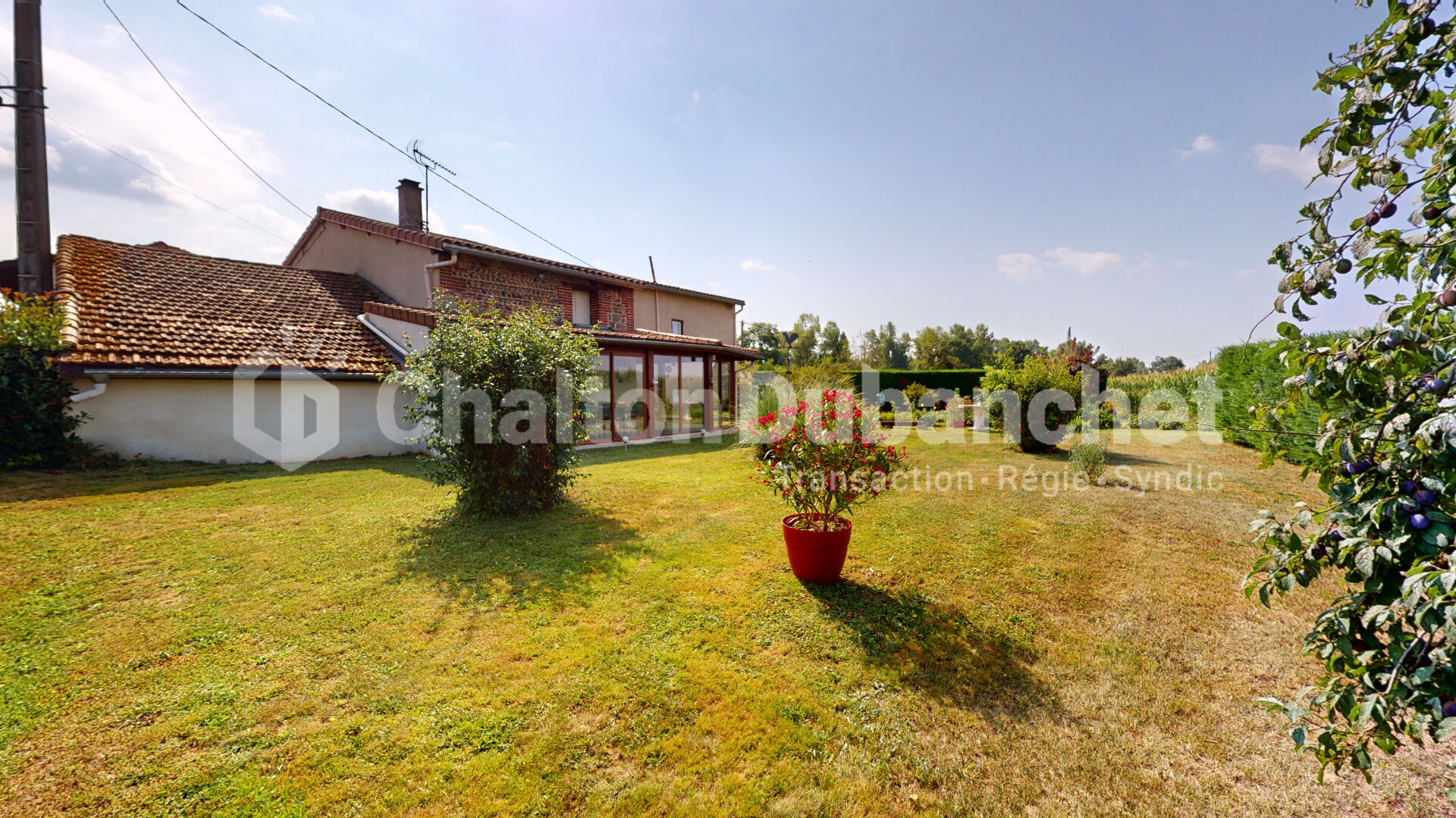 Agence immobilière de CHALTON DUBANCHET Immobilier - Feurs