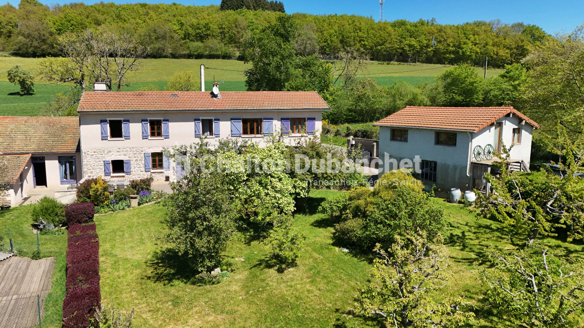 Agence immobilière de CHALTON DUBANCHET Immobilier - Feurs