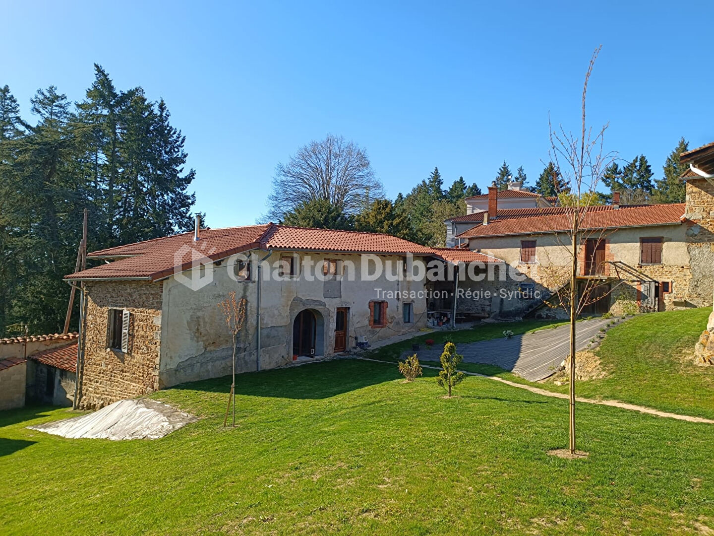 Agence immobilière de CHALTON DUBANCHET Immobilier - Feurs