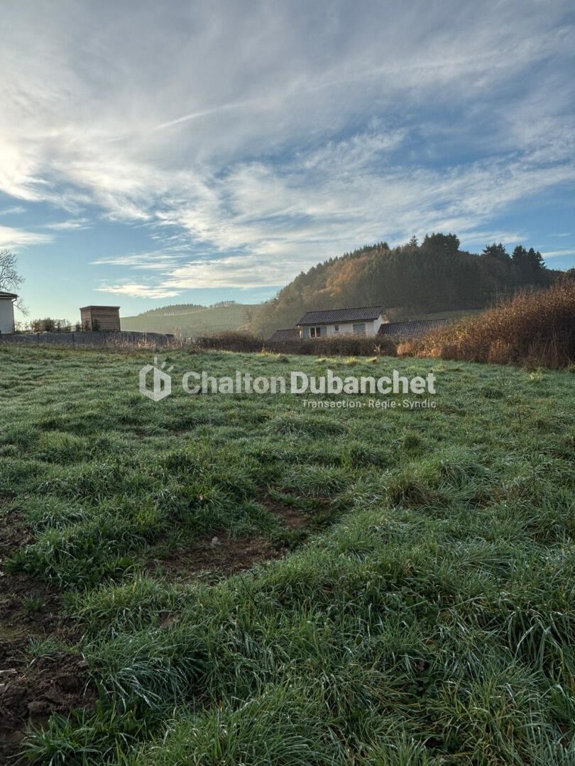 SAINT  VICTOR SUR RHINS - Terrain de 1396 m²