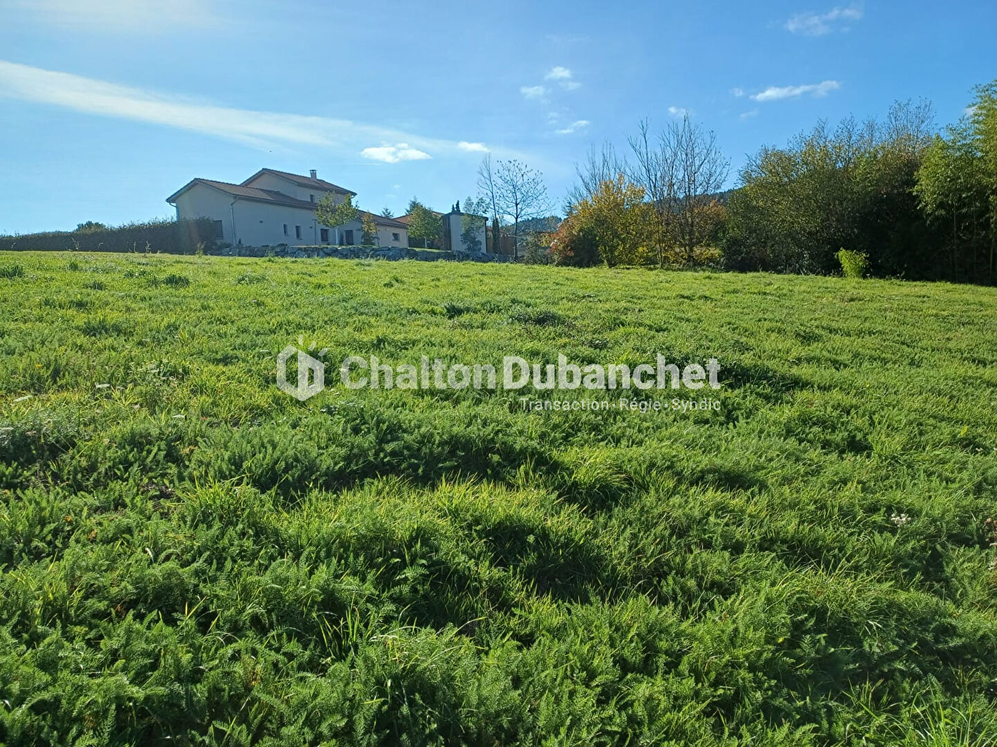 Photo EXCLUSIF : Terrain constructible de 1453 m² sur Saint-Haon-le-Châtel (42370) image 2/3