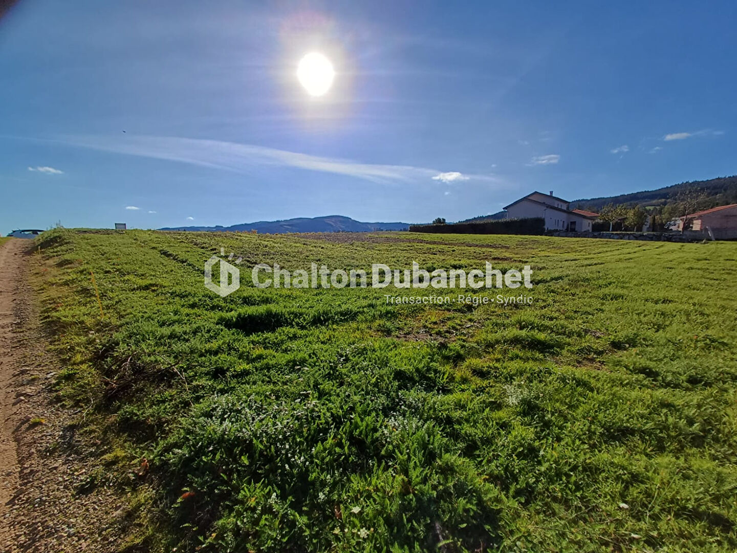 Photo EXCLUSIF : Terrain constructible de 1453 m² sur Saint-Haon-le-Châtel (42370) image 3/3