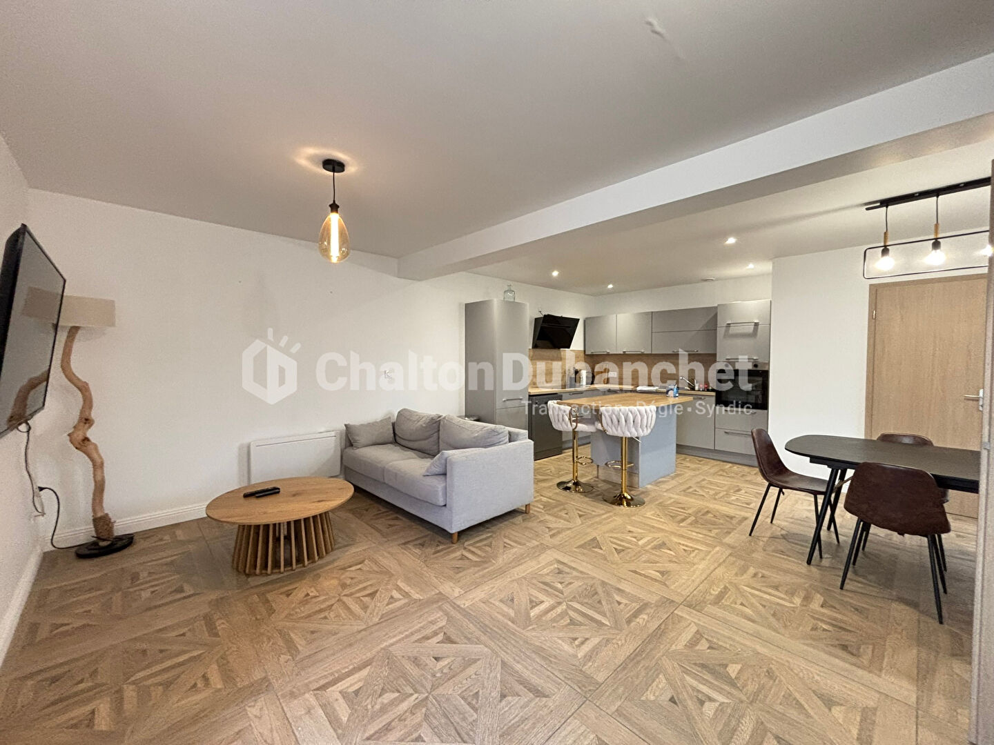 ROANNE Appartement Meublé- 3 pièce(s) 72.97 m2