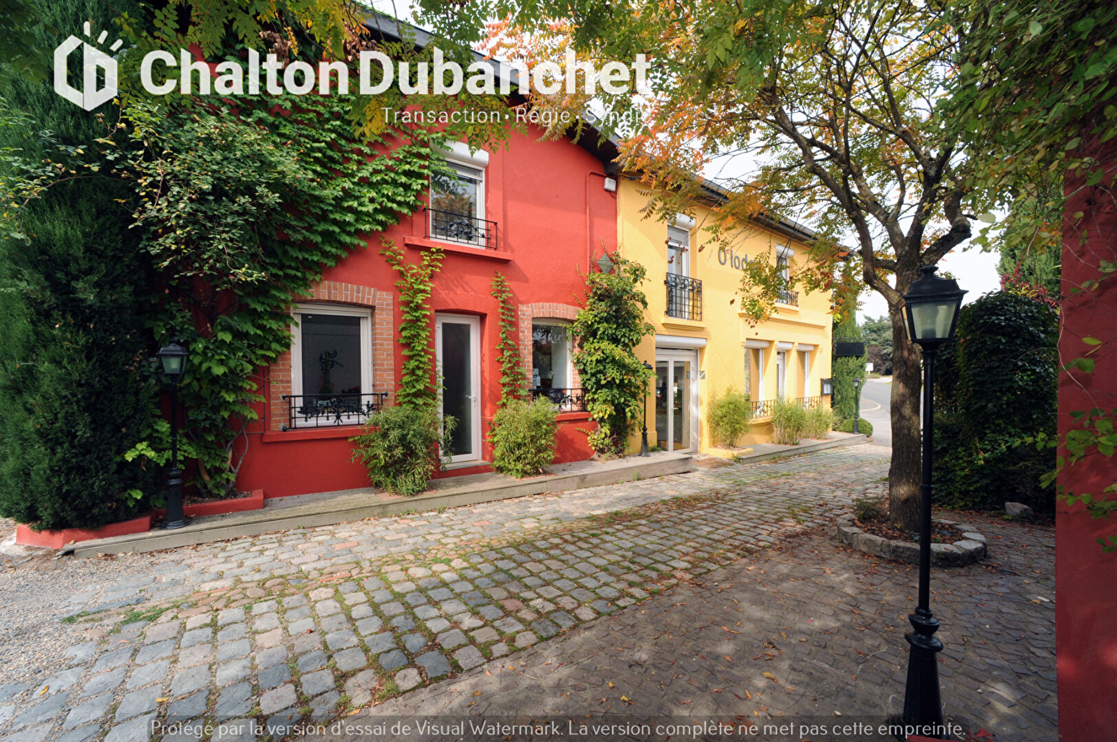 Agence immobilière de CHALTON DUBANCHET Immobilier - Feurs