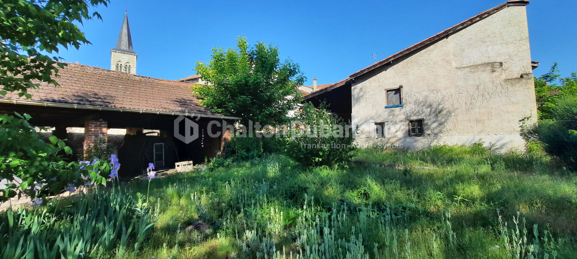 Agence immobilière de CHALTON DUBANCHET Immobilier - Feurs
