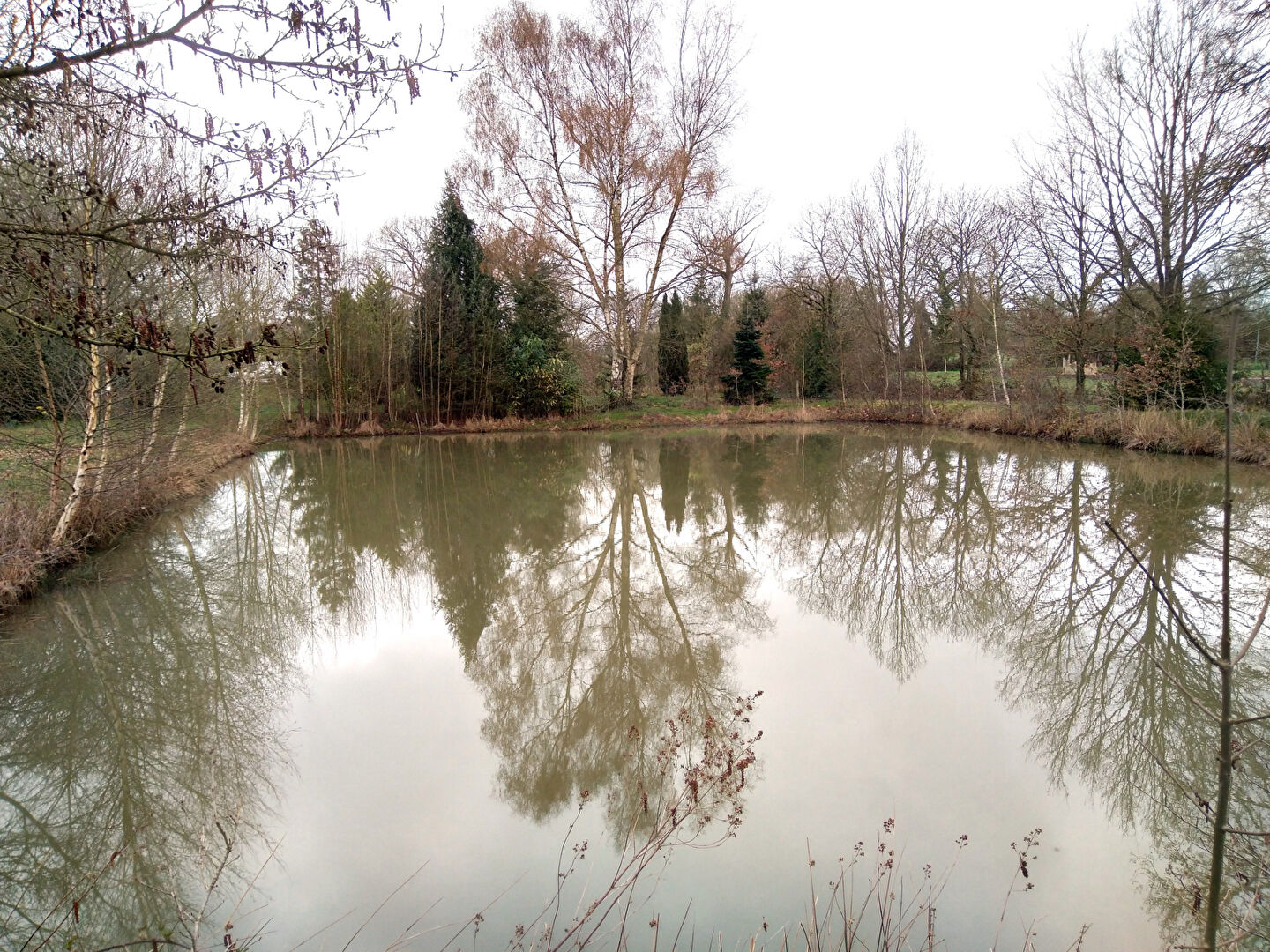 Agence immobilière de 
 COMBOURG IMMOBILIER - COMBOURG IMMOBILIER 
