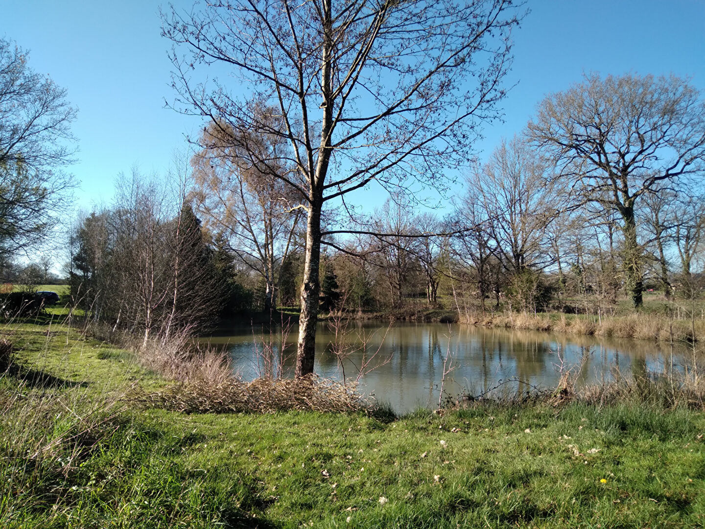 Agence immobilière de 
 COMBOURG IMMOBILIER - COMBOURG IMMOBILIER 
