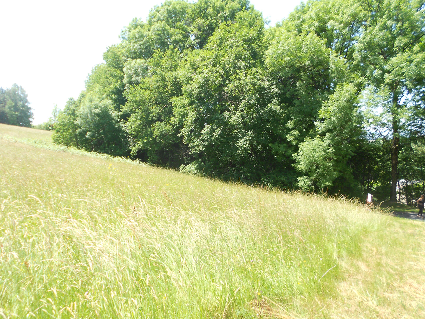 Photo Terrain Lacrouzette 1900 m2 avec servitude de 239 M2 image 2/5