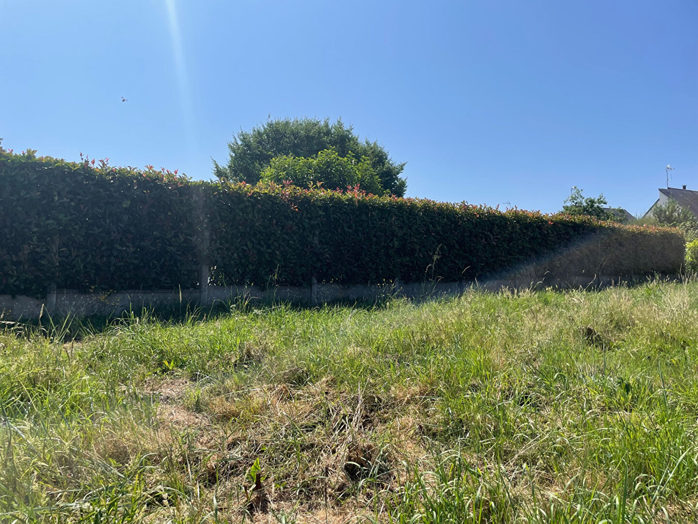 Agence immobilière de Corner immobilier