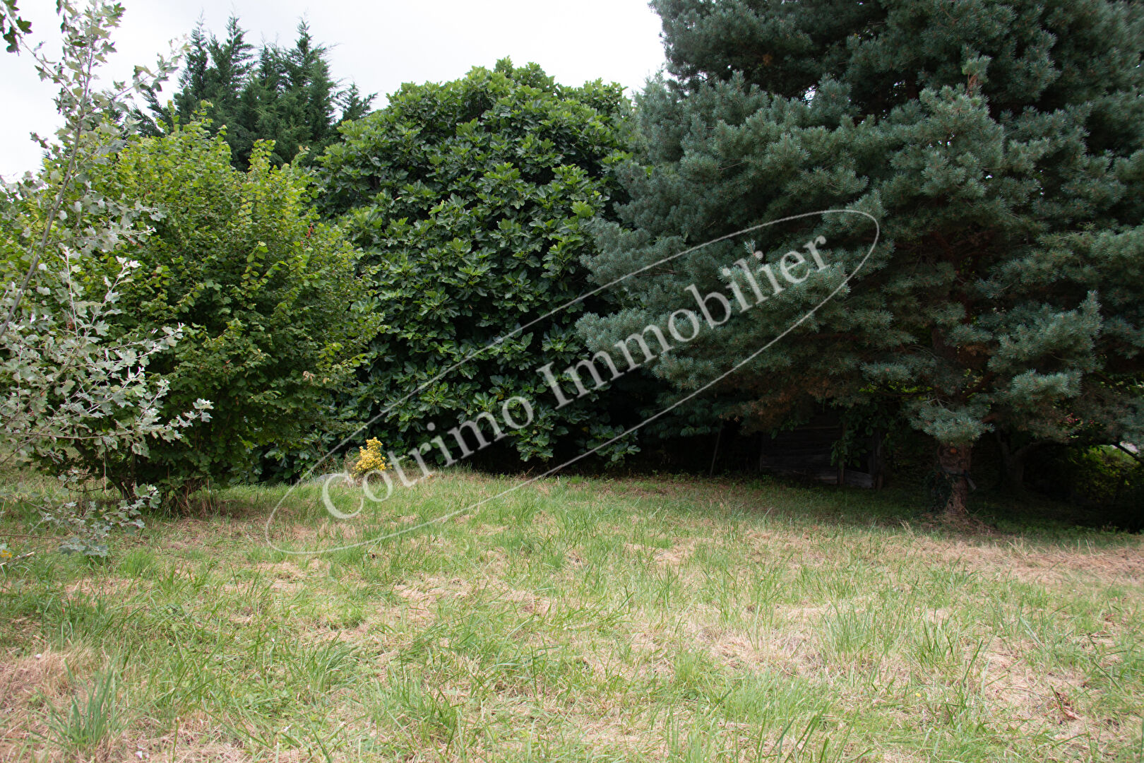 Agence immobilière de COTRIMO La Bridoire