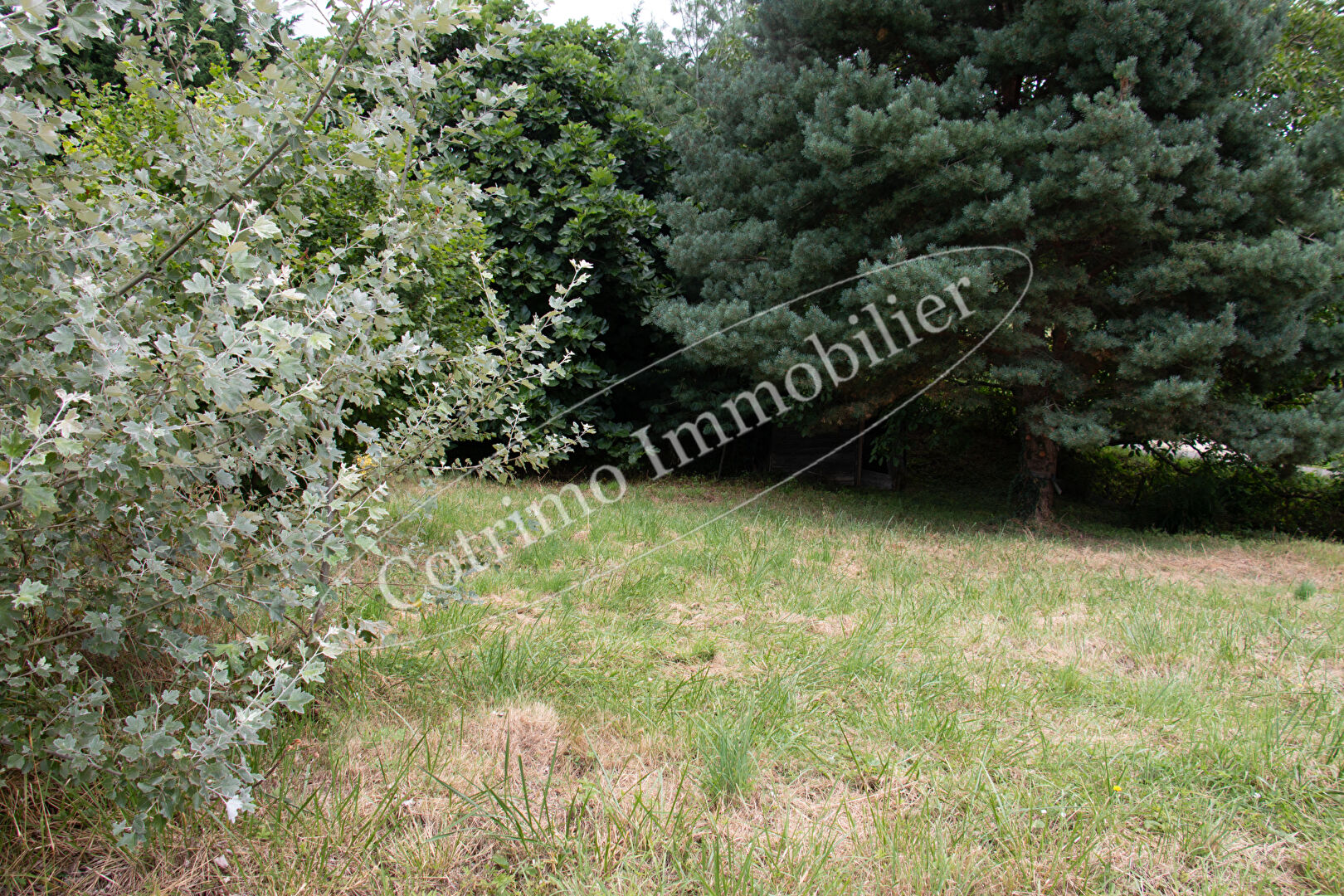 Photo Terrain à bâtir Gresin Saint Genix Les Villages 605 m2 image 4/6