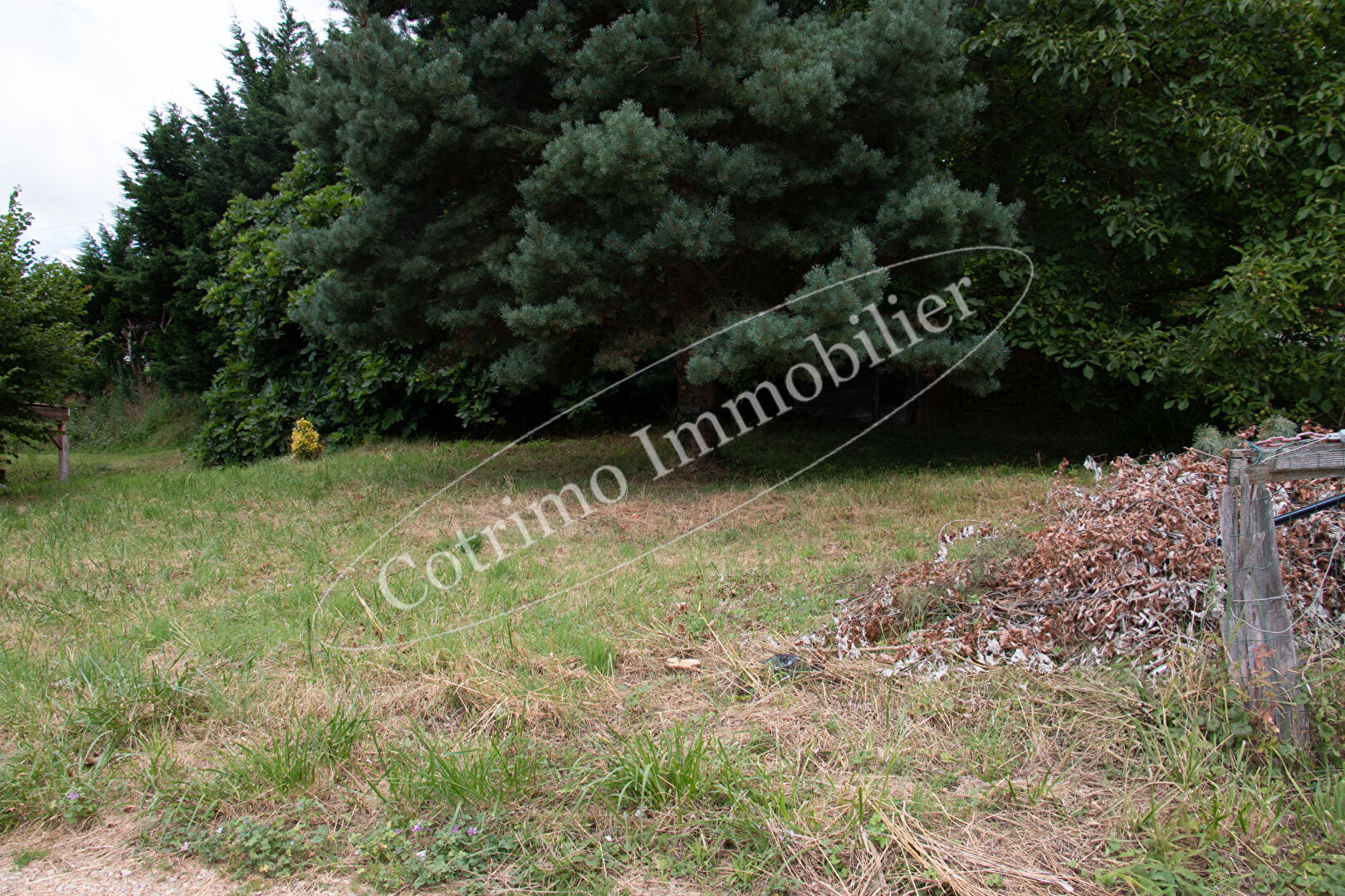 Photo Terrain à bâtir Gresin Saint Genix Les Villages 605 m2 image 5/6