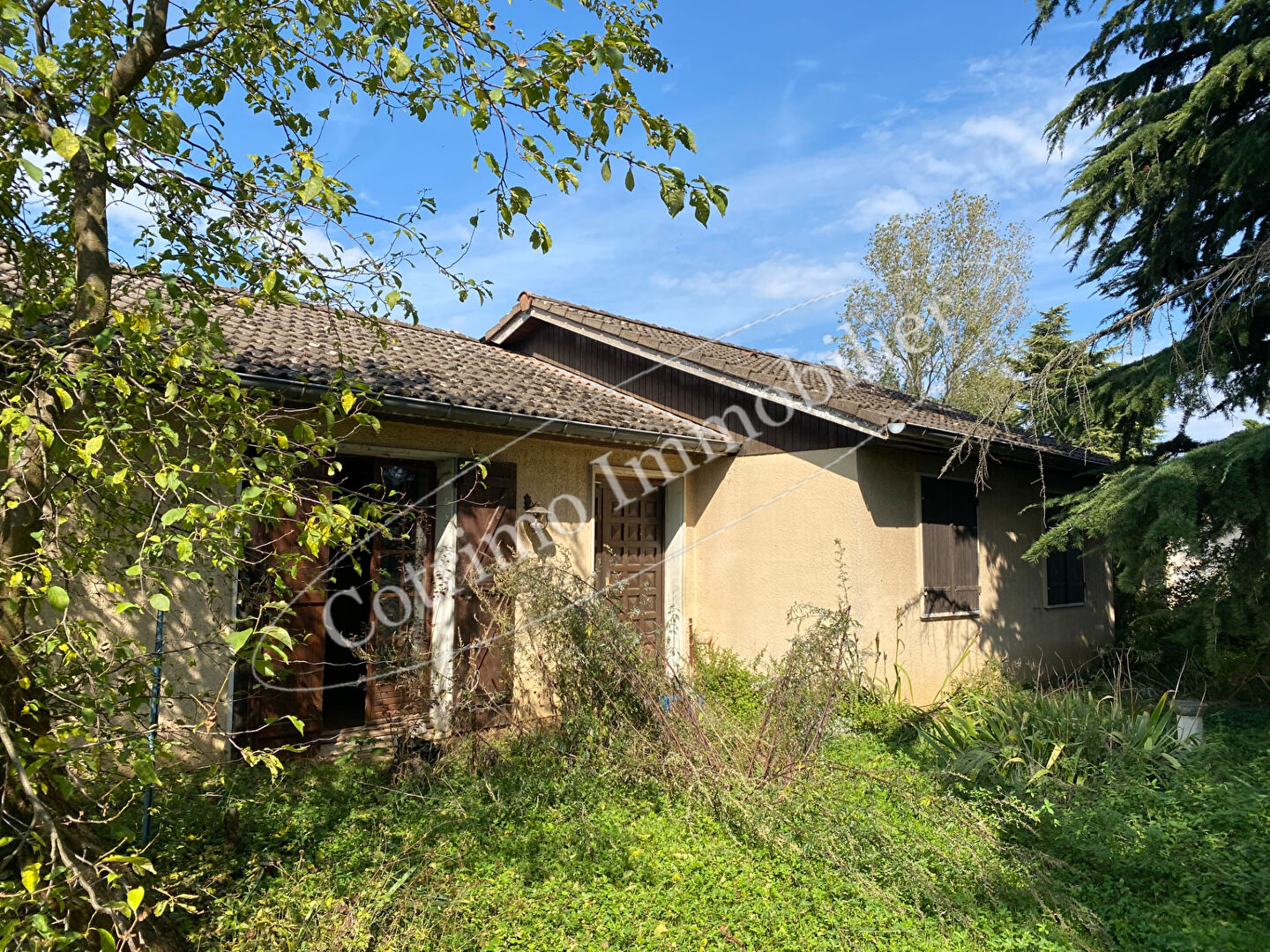 Agence immobilière de COTRIMO Chassieu