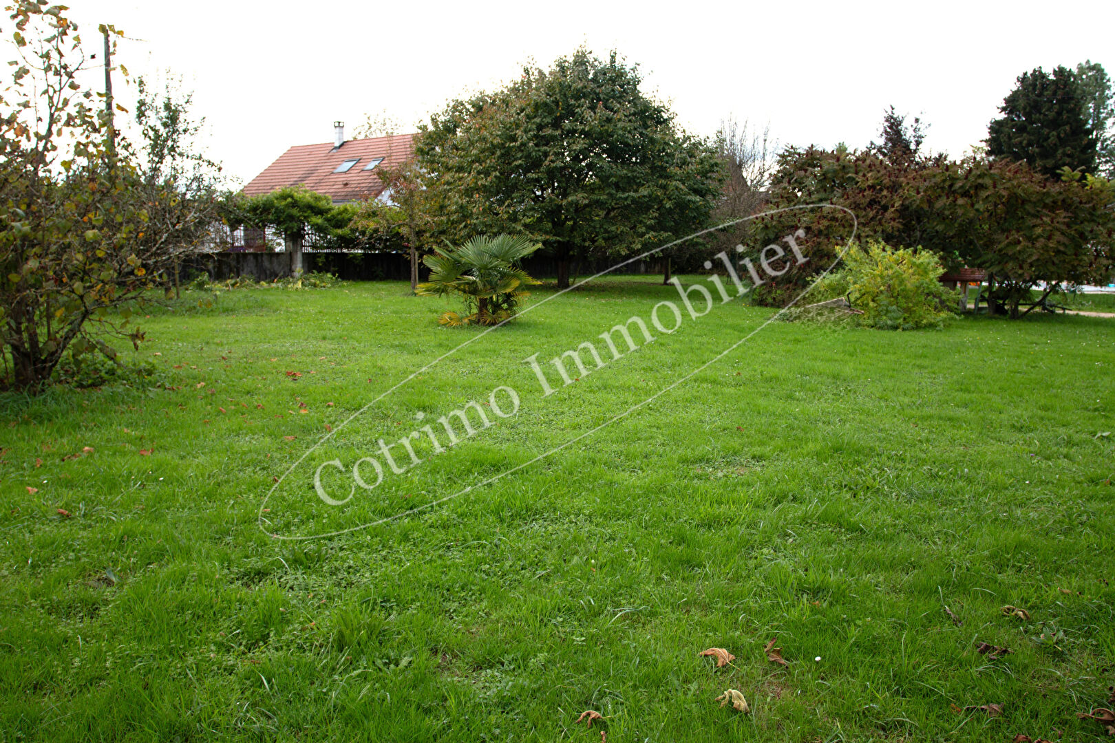 Photo Terrain Domessin 1400 m2 image 2/4