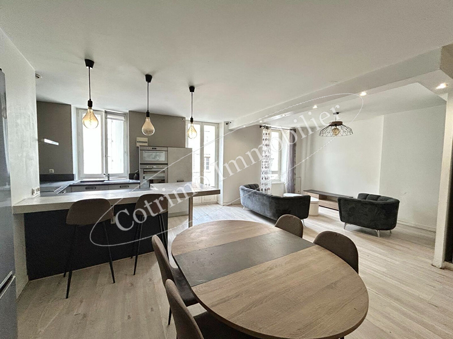 Photo Appartement Rive De Gier 3P de 70m² habitables image 2/6