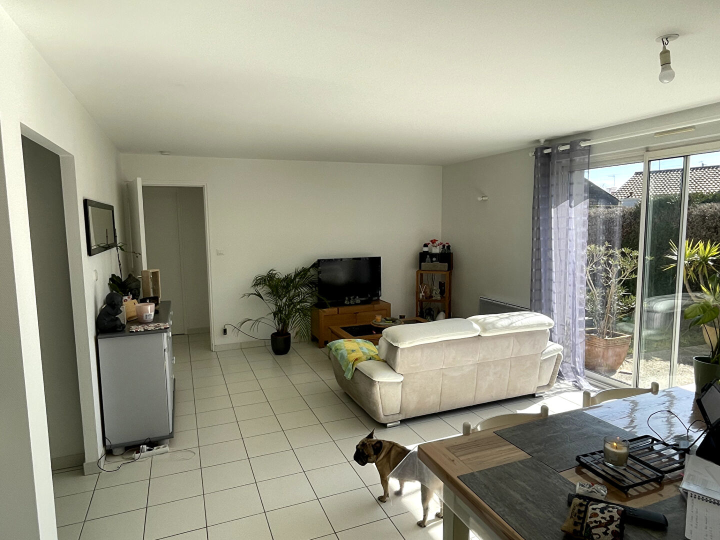 Photo MACHECOUL image 4/6