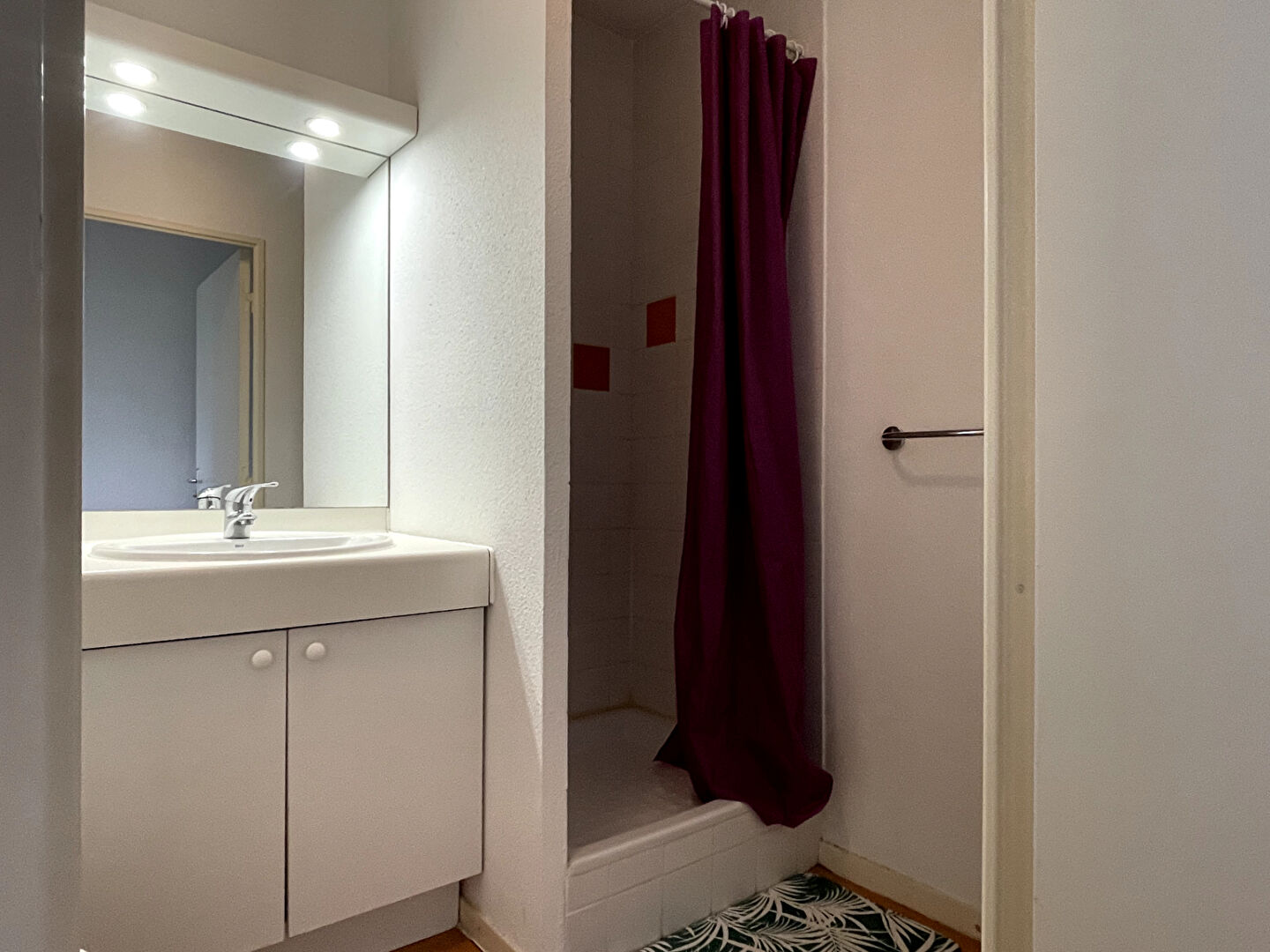 Photo SAINT SÉBASTIEN SUR LOIRE image 6/6