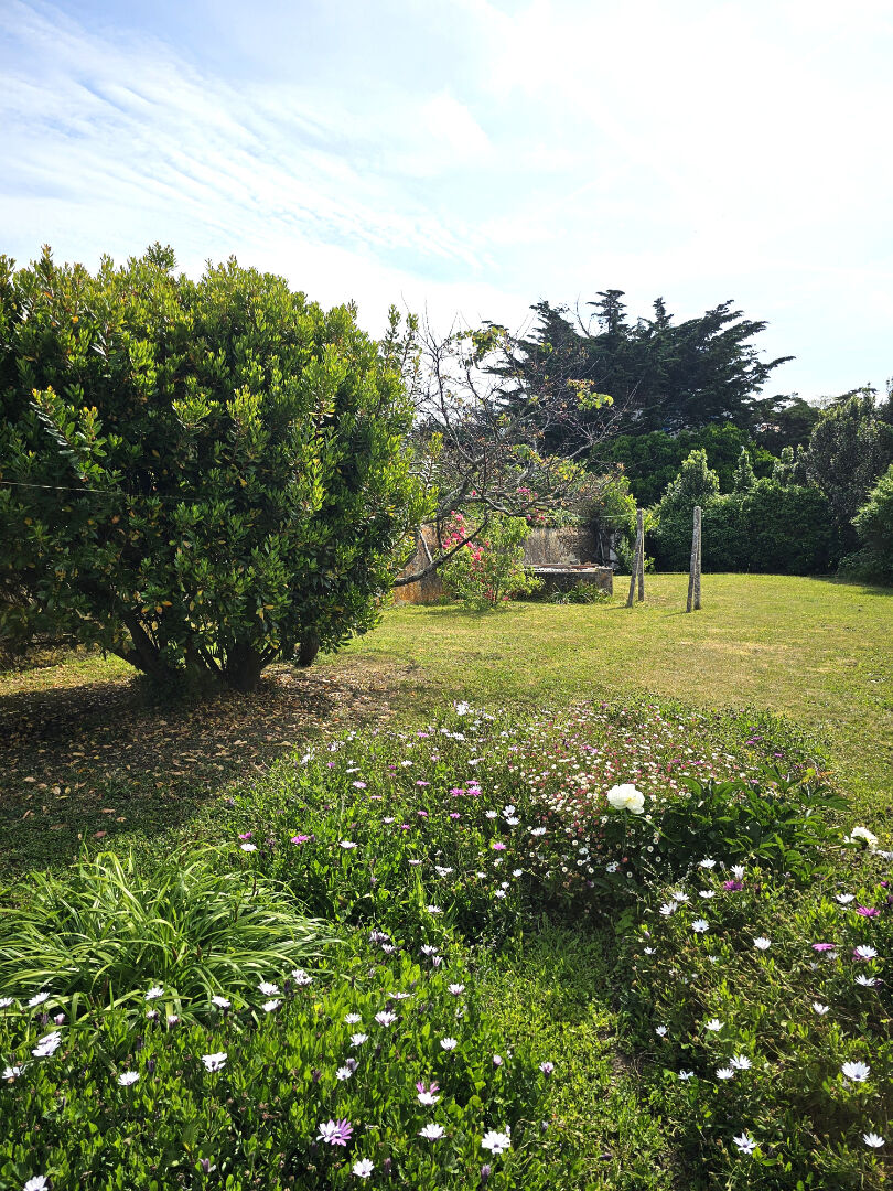 Photo ILE D'YEU - PORT JOINVILLE image 1/6