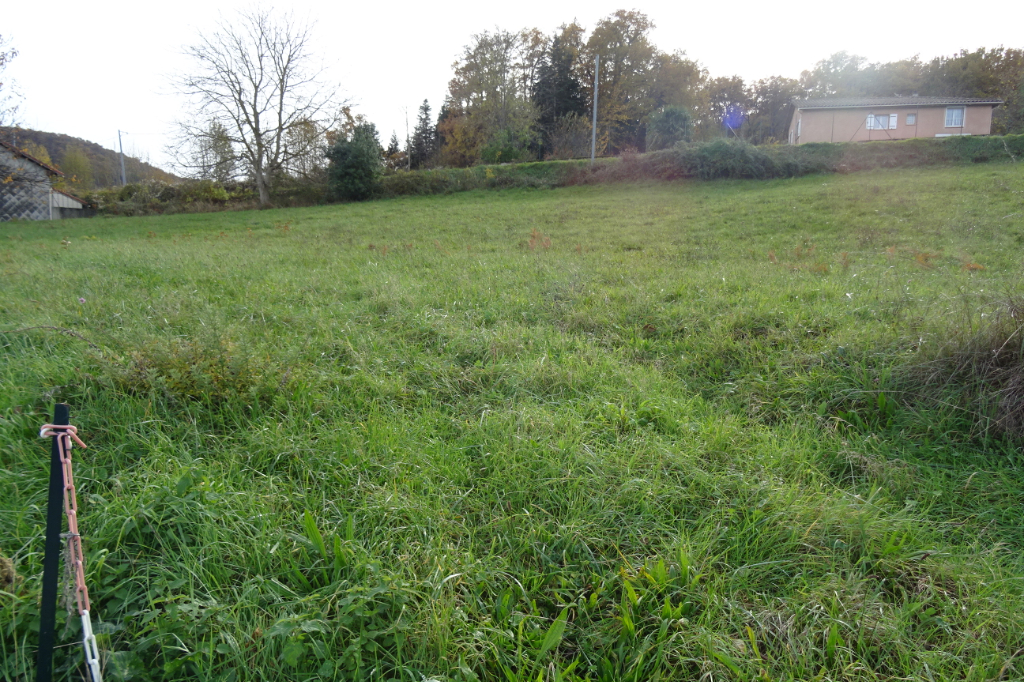 Photo LAROQUES D'OLMES (09600) TERRAIN DE 1135 M² image 3/3