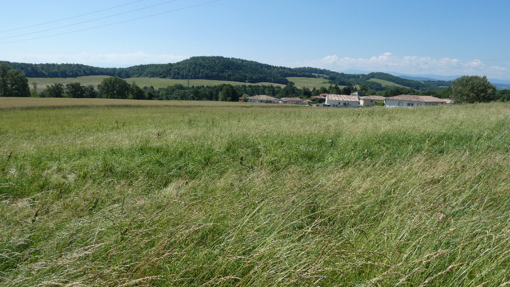 Photo SUPERBE TERRAIN D ANGLE DE 928 M² image 5/5