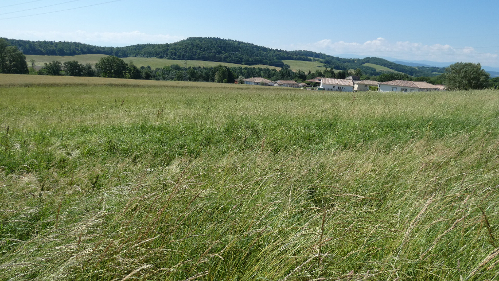 Photo SUPERBE TERRAIN DE 984 m2 image 2/6