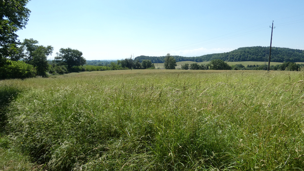 Photo JOLI TERRAIN A BATIR DE 663 M² image 2/4