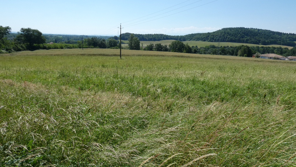 Photo JOLI TERRAIN A BATIR DE 663 M² image 3/4