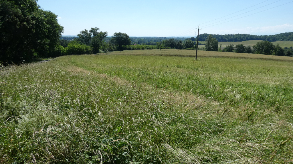 Photo SUPERBE TERRAIN D'ANGLE  A BATIR DE 713 M2 image 2/2