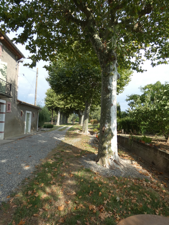 Photo CHARMANTE PROPRIETE de 261 m² sur un terrain de 4982 m² image 4/6