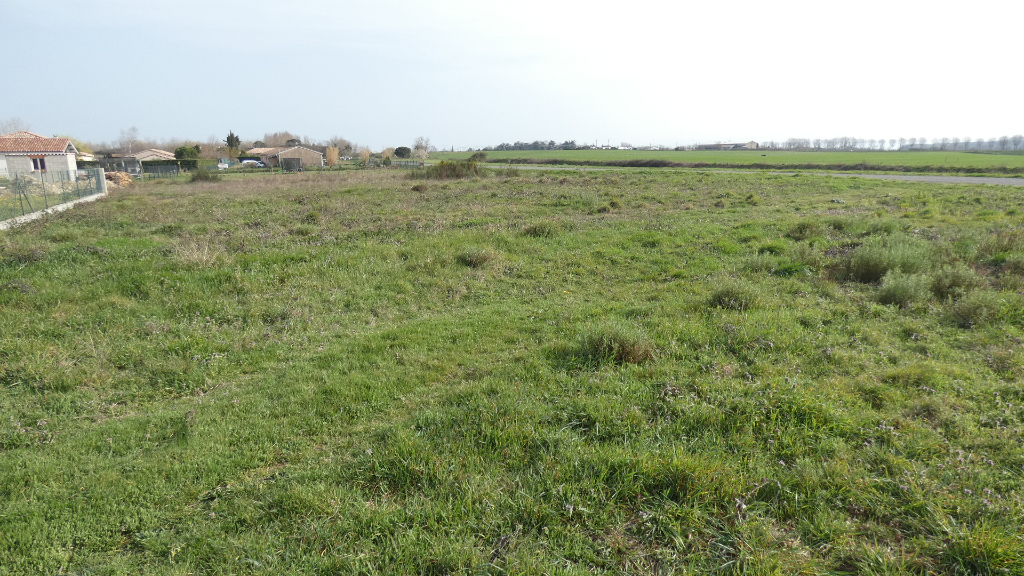 TERRAIN A BATIR DE 1114 M²