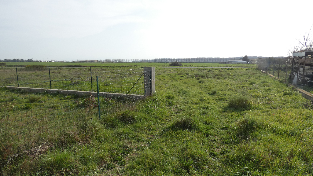 Photo TERRAIN A BATIR DE 1114 M² image 2/4