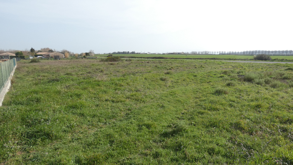 Photo TERRAIN A BATIR DE 1114 M² image 3/4