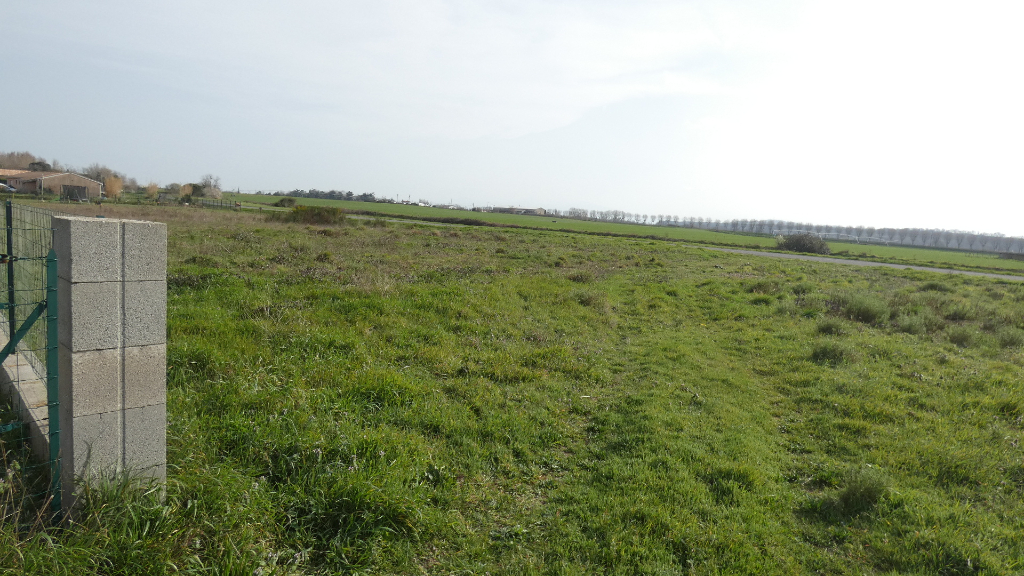 Photo TERRAIN A BATIR DE 1114 M² image 4/4