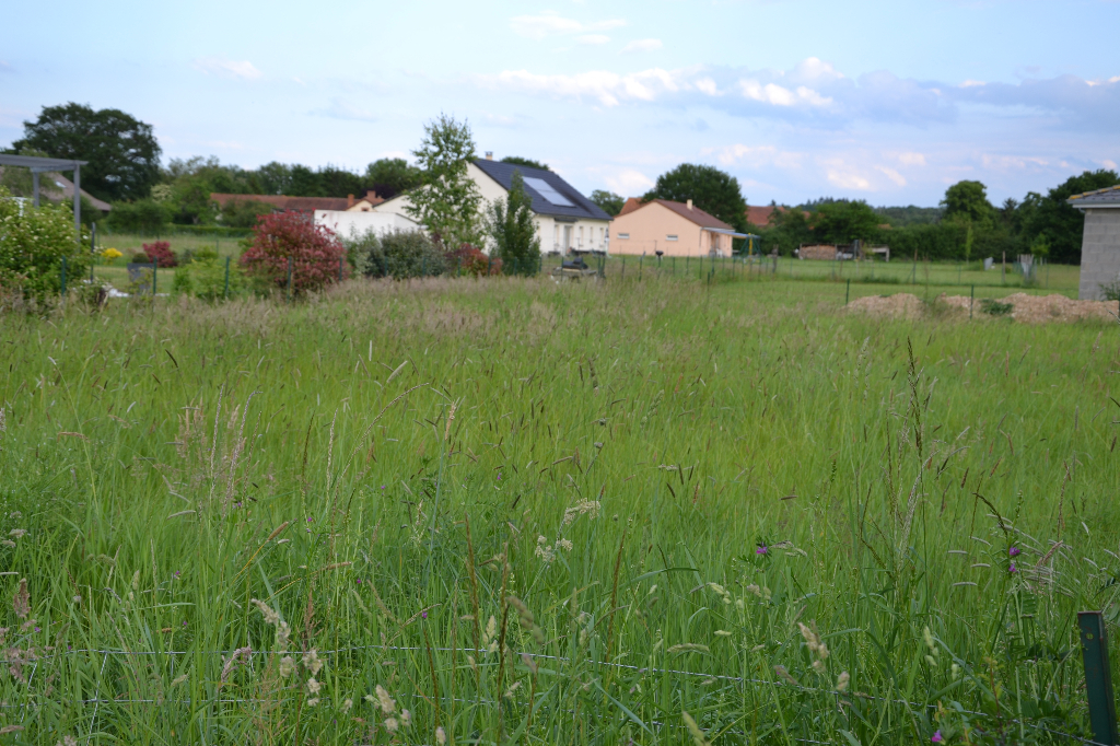 ENTRE ST POURCAIN ET VICHY
