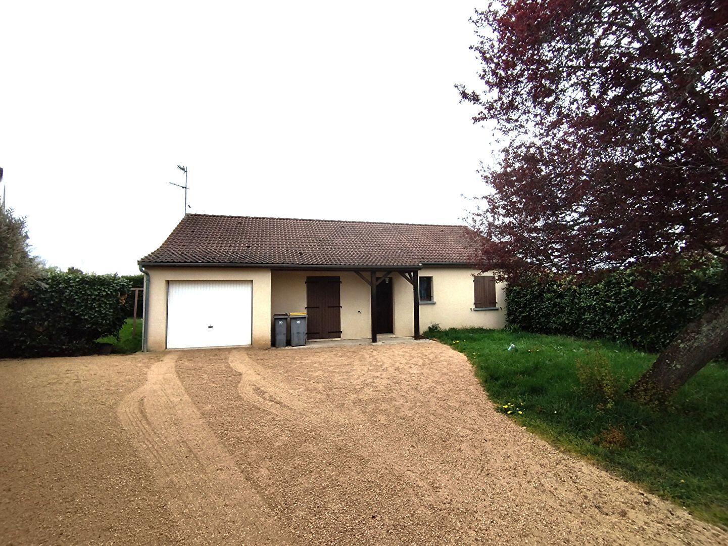 Agence immobilière de 
 ELYSE AVENUE - ELYSE AVENUE Montluçon 
