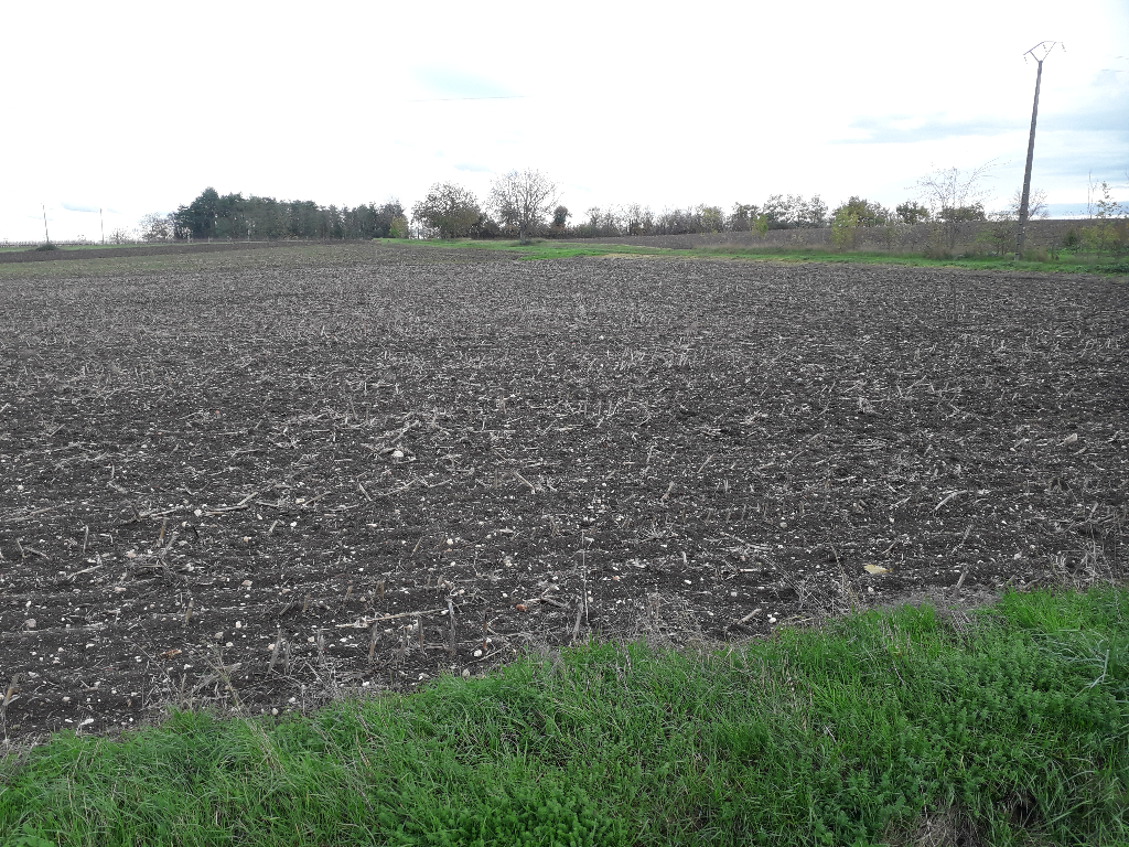 TERRAIN 2 318 M² A SAINT-POURCAIN