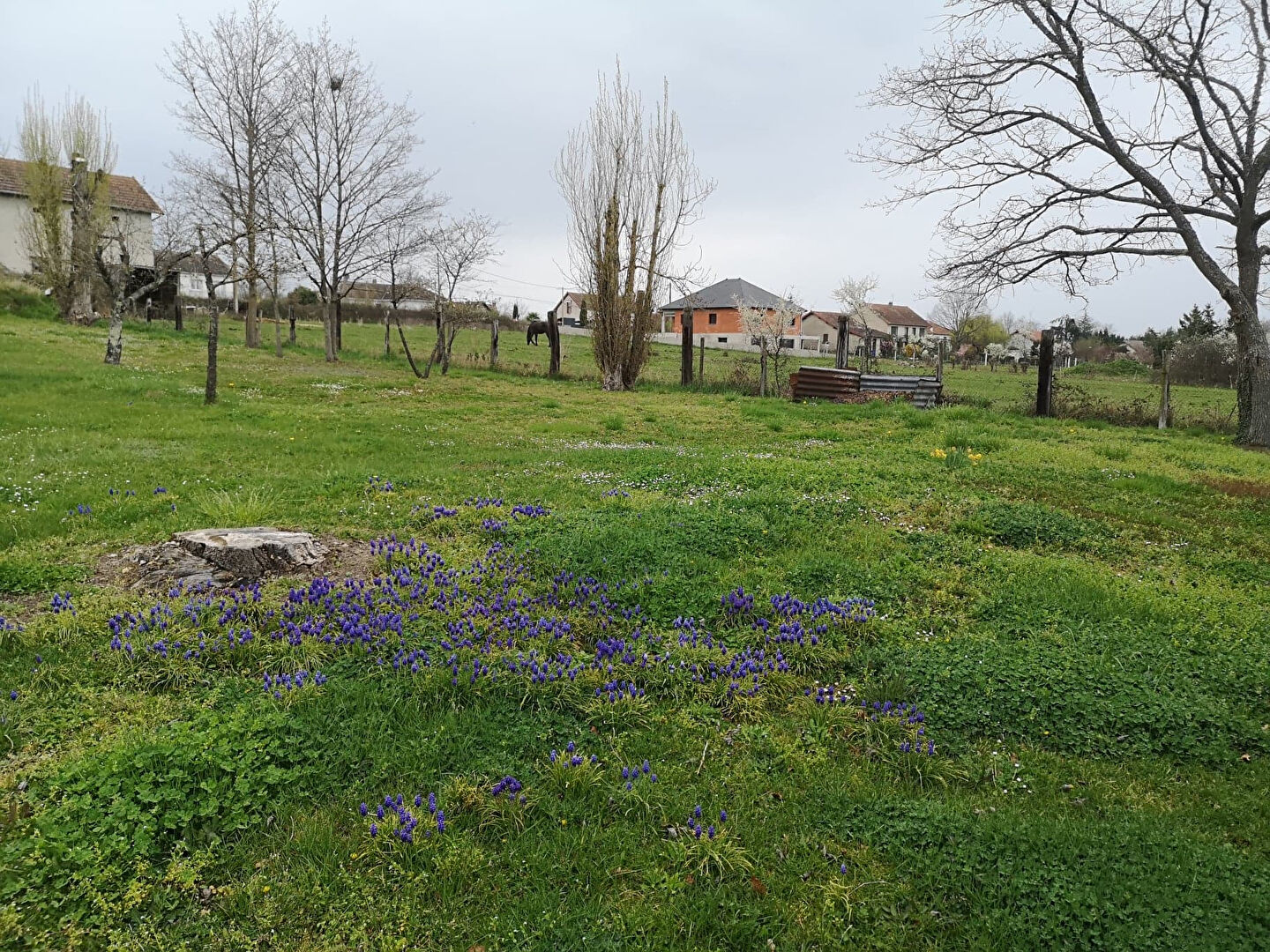 Photo Terrain Domerat image 1/2