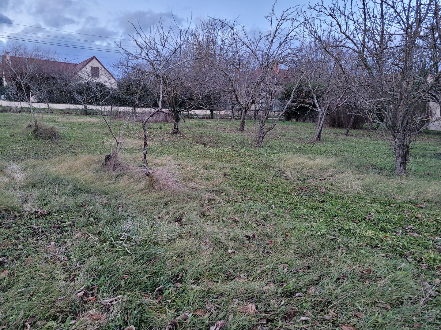 TERRAIN DE 2 590 M² A 5 MIN. DE ST POURCAIN