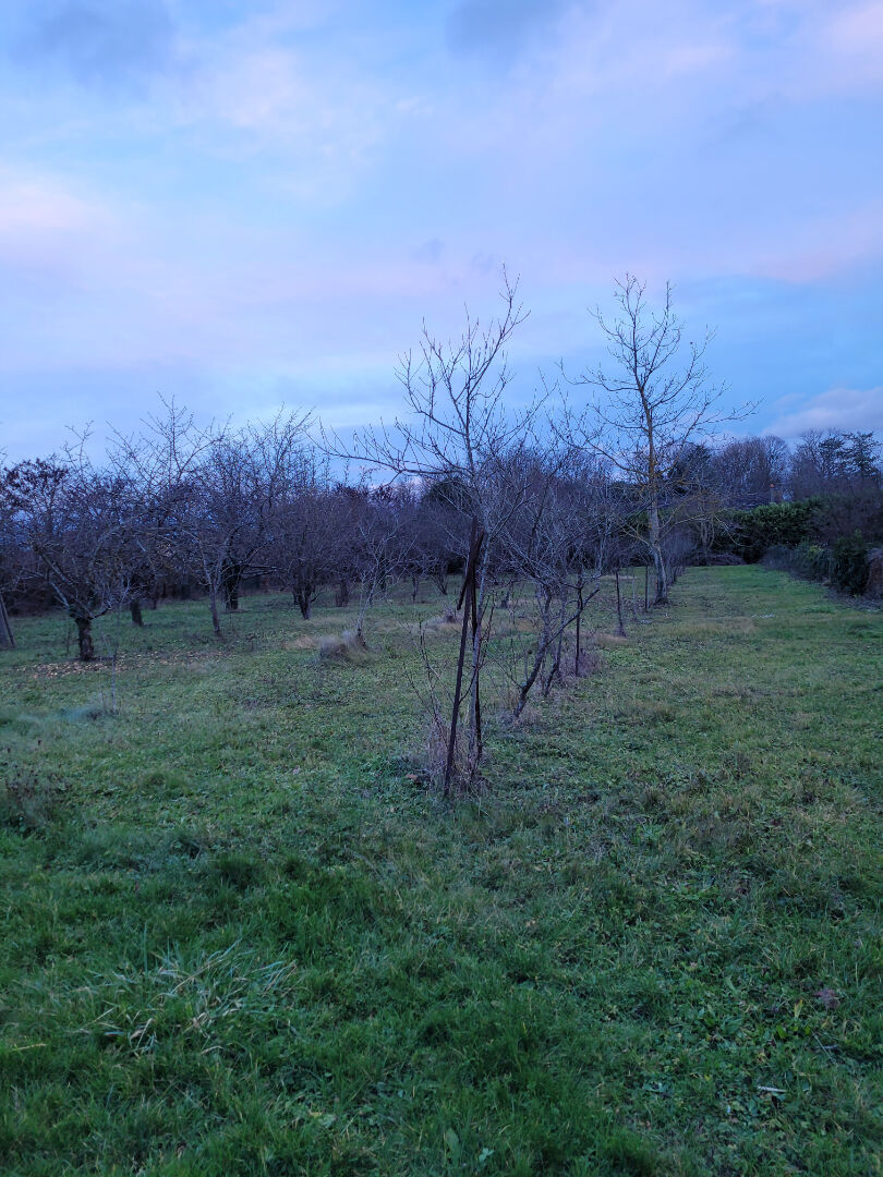 Photo TERRAIN DE 2 590 M² A 5 MIN. DE ST POURCAIN image 3/5
