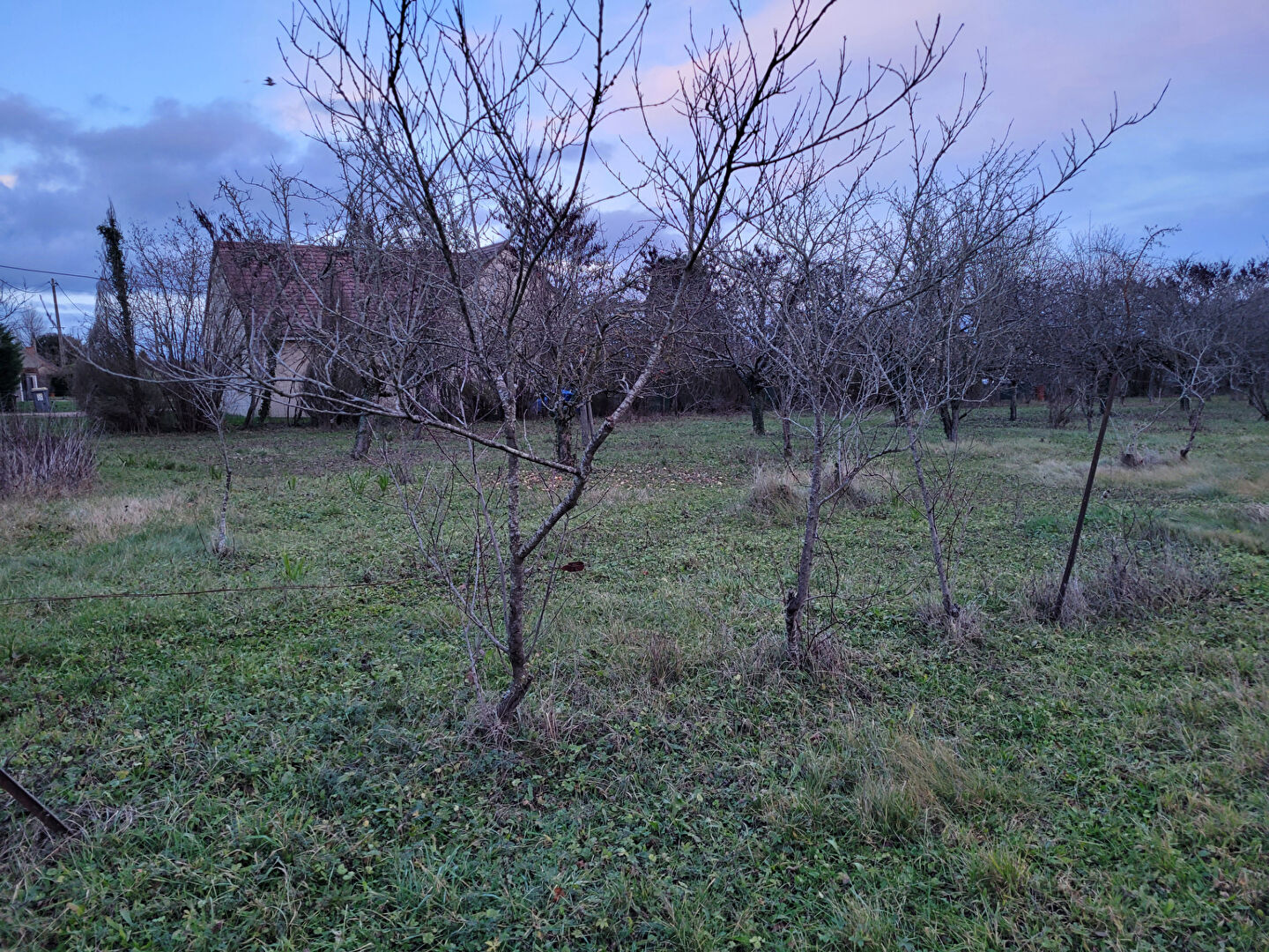 Photo TERRAIN DE 2 590 M² A 5 MIN. DE ST POURCAIN image 4/5