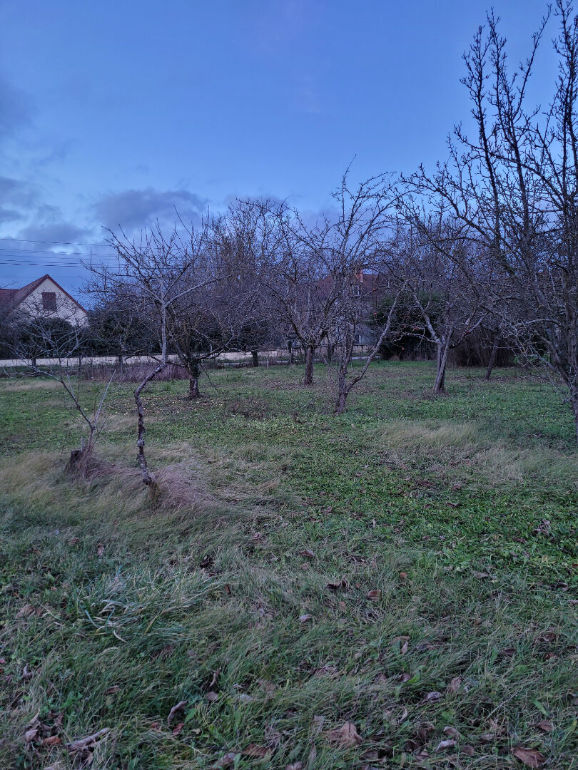 Photo TERRAIN DE 2 590 M² A 5 MIN. DE ST POURCAIN image 5/5