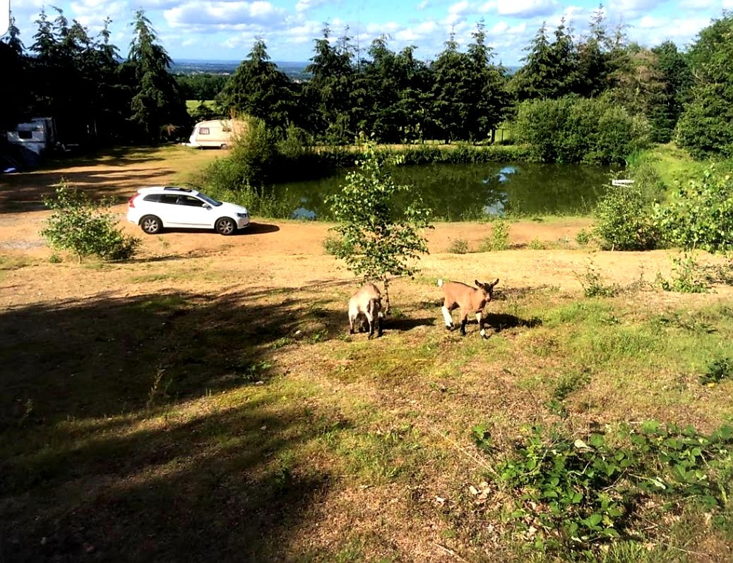 Photo Terrain de loisirs Domérat avec Étang image 2/6