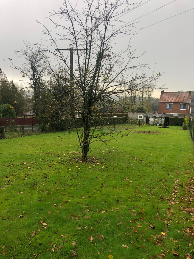 Photo Terrain Bajus 579 m2 image 3/3