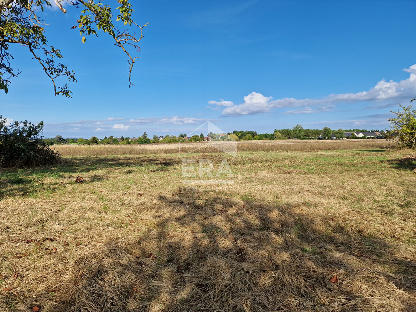 37270 ATHEE-SUR-CHER Terrain de 881 m² à vendre