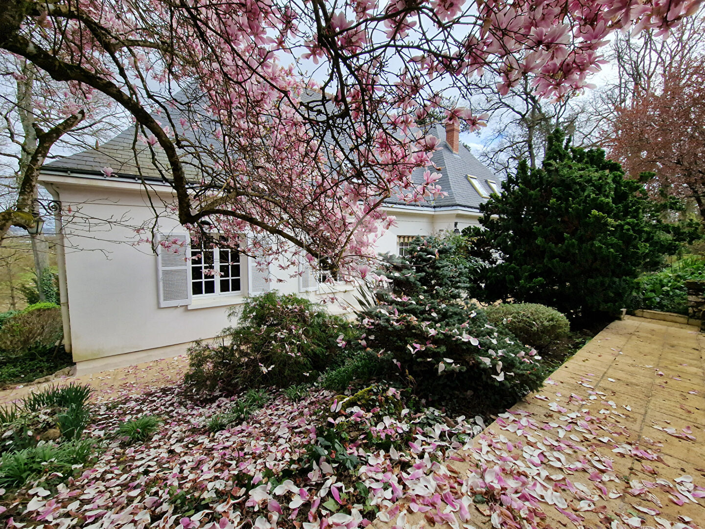 Photo A VENDRE 37300 JOUE-LES-TOURS - Demeure de 245 m² à vendre image 1/6