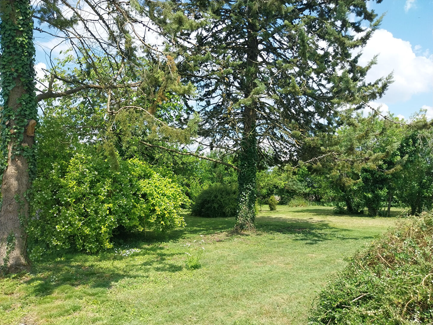 Photo TERRAIN à BATIR- CIGOGNE image 2/4