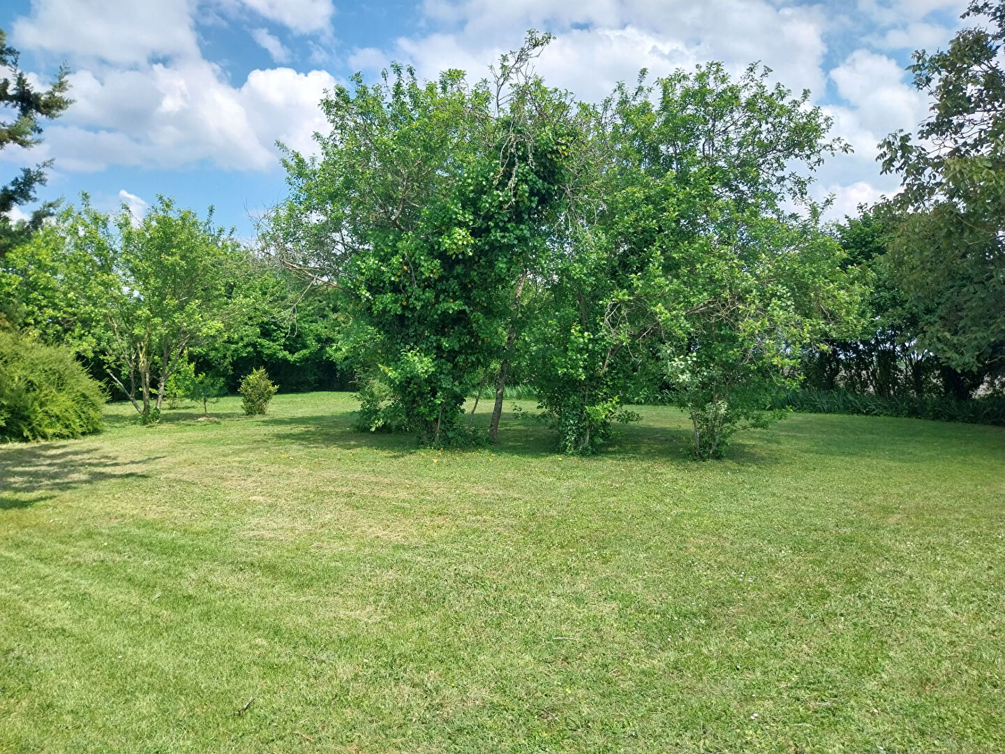 Photo TERRAIN à BATIR- CIGOGNE image 3/4