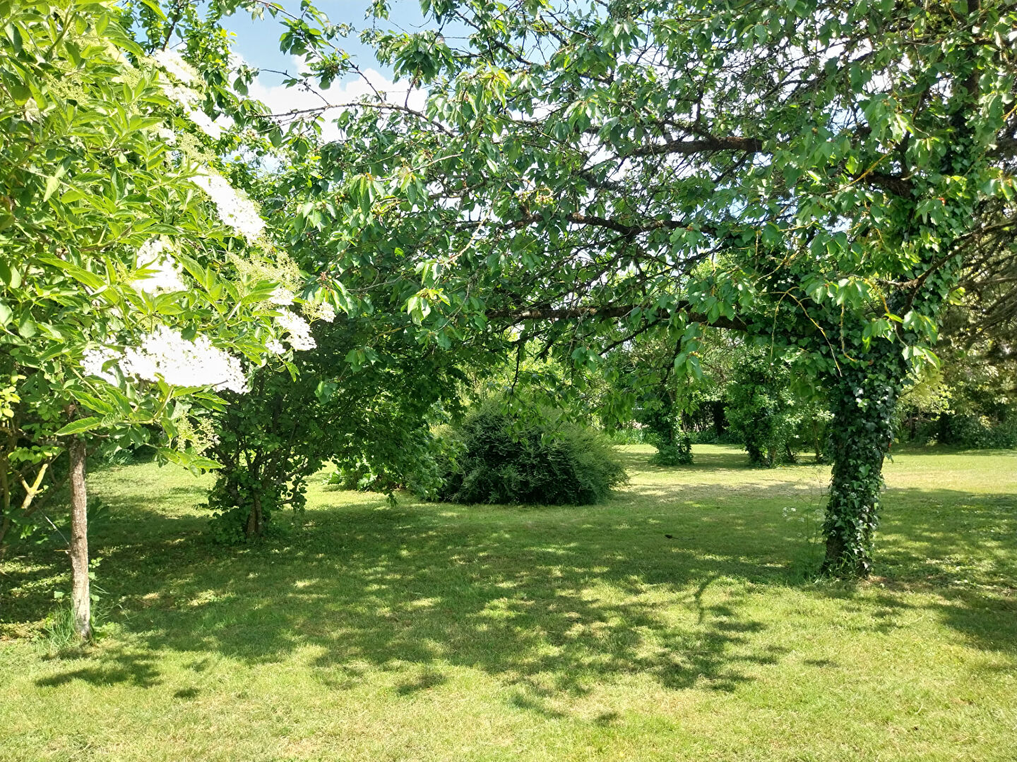 Photo TERRAIN à BATIR- CIGOGNE image 4/4