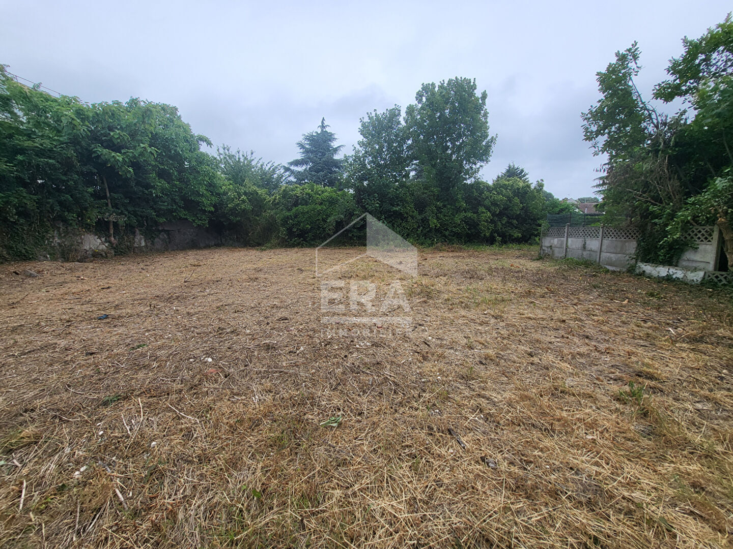 Terrain Lens 800 m2